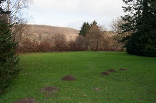Un très grand jardin, sécurisé où vos enfants peuvent jouer en toute tranquilité Un très grand jardin, sécurisé où vos enfants peuvent jouer en toute tranquilité